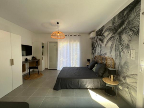 Grand studio - Ajaccio - Salario - Capo di feno